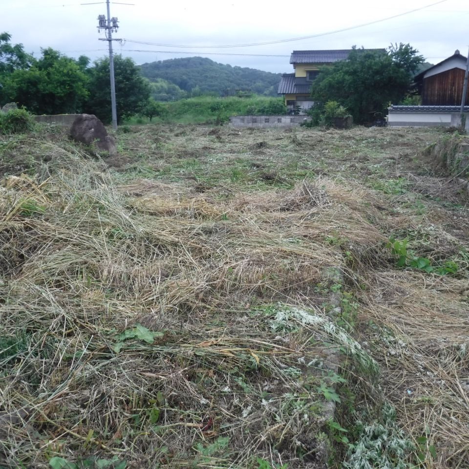 K邸敷地内草刈り施工の画像