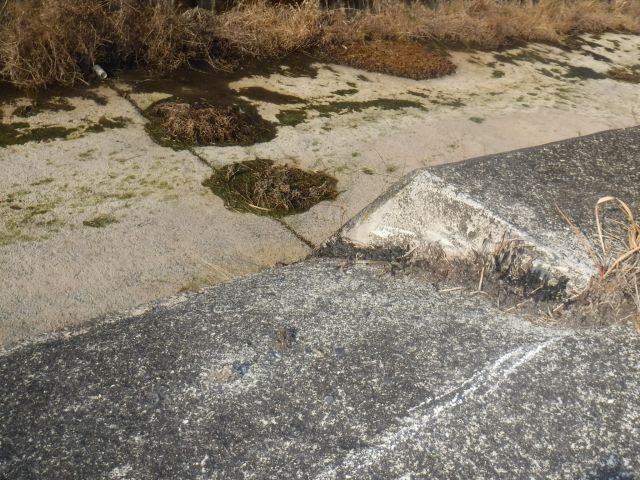 町道大仁五西線補修工事の画像